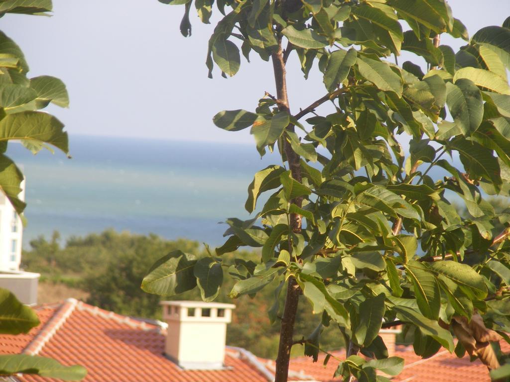 Guest House "Zora - Sarafovo" Burgaz Dış mekan fotoğraf